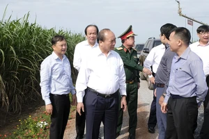 Thủ tướng thăm cánh đồng mía tại xã Thành Long, huyện Châu Thành. Ảnh: VGP/Quang Hiếu