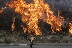  Các đám cháy rừng lan rộng tại Newhall, California, Mỹ, ngày 11-10. Ảnh: AFP/TTXVN