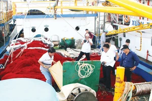 Tàu vỏ thép kém chất lượng ở Bình Định đã đẩy một số ngư dân vào cảnh khốn khó. Ảnh: NGỌC OAI