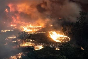 Các đám cháy rừng lan rộng tại bang Victoria, Australia. Ảnh: AFP/TTXVN 