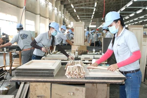 Sản xuất gỗ tại Công ty Kaiser Việt Nam, Khu công nghiệp Mỹ Phước, thị xã Bến Cát, Bình Dương