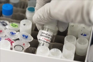 Nghiên cứu phát triển vaccine phòng COVID-19 tại phòng thí nghiệm của Novavax ở Rockville, Maryland (Mỹ). Ảnh: AFP/TTXVN