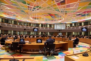 Toàn cảnh một Hội nghị trực tuyến giữa Ngoại trưởng các nước thành viên Liên minh châu Âu (EU) ở Brussels, Bỉ. Ảnh tư liệu: AFP/TTXVN