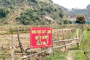 Biển cảnh báo khu vực sụt đất tại xã Châu Hồng (huyện Quỳ Hợp, Nghệ An)