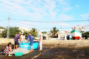 Cuộc sống của ngư dân trên đảo Nhơn Châu ngày càng được cải thiện. Ảnh: NGỌC OAI