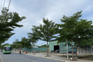Mặt tiền đường Nguyễn Văn Tạo, từ cầu Hiệp Phước đến cầu Kênh Lộ, hầu hết là nhà tạm, mái tôn vách tôn