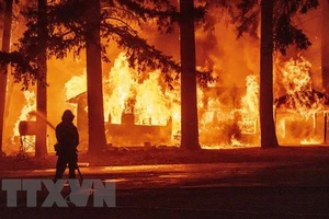 Nhân viên cứu hỏa nỗ lực khống chế các đám cháy rừng Dixie tại California, Mỹ. Ảnh: AFP/TTXVN
