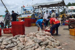 Hoạt động mua bán thủy hải sản ở thị trấn Gành Hào, huyện Đông Hải (Bạc Liêu)