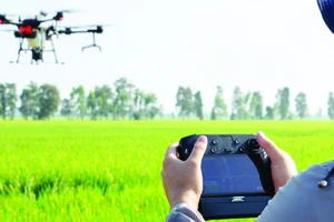 Sử dụng thiết bị bay không người lái trong sản xuất nông nghiệp tại Australia
