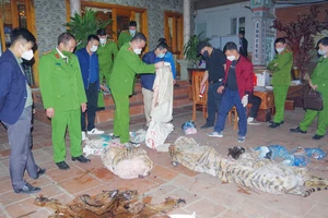 Cơ quan Công an kiểm tra tang vật dùng để nấu cao hổ tại nhà ông Ngô Văn Quân. Ảnh: TTXVN
