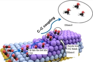 Vật liệu thu giữ khí CO2