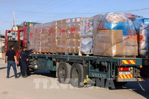 Hàng hoá nhập khẩu qua cửa khẩu ở phía nam Dải Gaza. Ảnh: AFP/TTXVN. 