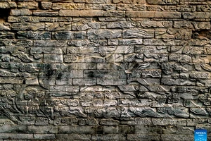 Một phần của bức tranh tường bằng đá được tìm thấy