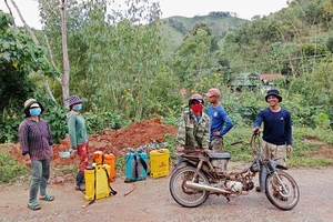 Huyện Tu Mơ Rông kiến nghị giải pháp để người dân thực sự hưởng lợi từ trồng rừng
