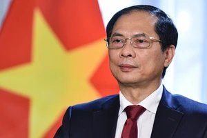  Phê bình nghiêm khắc Bộ trưởng Bùi Thanh Sơn