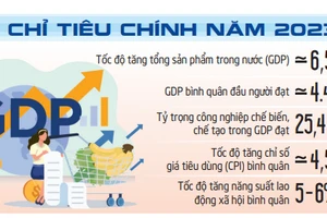 Điểm sáng Việt Nam - Chủ động và linh hoạt chính sách