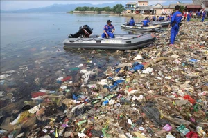 Thu dọn rác thải tại Vịnh Lampung, huyện Bumi Waras, thành phố Bandar Lampung, Indonesia. Ảnh: AFP/TTXVN