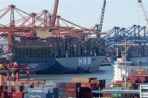 Container hàng hóa được bốc dỡ tại cảng Busan, Hàn Quốc. Ảnh: Yonhap/TTXVN