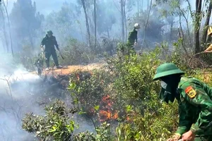 Chiều 31-5-2023, lực lượng chức năng nỗ lực chữa cháy rừng ở Động Nỏ, Hà Tĩnh. Ảnh: DƯƠNG QUANG
