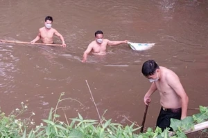 Đồng Nai: Vớt heo chết, xử lý ô nhiễm ở suối Râm 