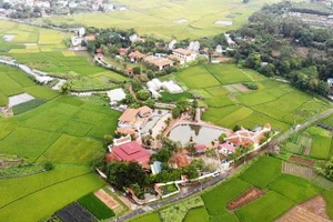 Thu hồi toàn bộ đất mua bán vi phạm của sư Thích Thanh Toàn quanh chùa Nga Hoàng 