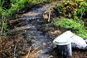 Lộ rõ nhóm người và phương tiện đổ trộm dầu thải gây ô nhiễm nguồn nước sông Đà