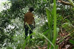 Truy vết người đàn ông chết trong thế treo cổ ở công viên Thành Công, dương tính SARS-CoV-2