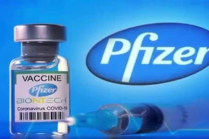 Thêm nhiều lô vaccine Pfizer được gia hạn thêm 