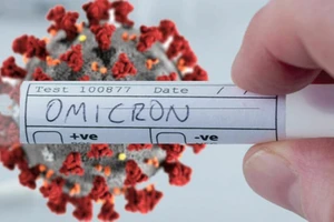 Kết quả giải trình tự gene 22 mẫu bệnh phẩm nghi nhiễm biến thể Omicron