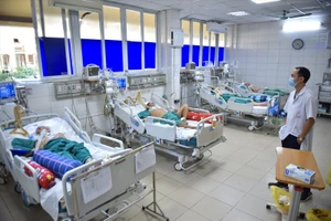 Các bệnh viện cần chủ động dự trữ thuốc điều trị sốt xuất huyết