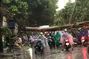 Thường trực Thành ủy Hà Nội yêu cầu hạn chế thấp nhất thiệt hại do bão số 3 gây ra