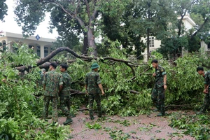 Khắc phục hậu quả bão số 3: Nỗ lực cao nhất để người dân sớm ổn định cuộc sống