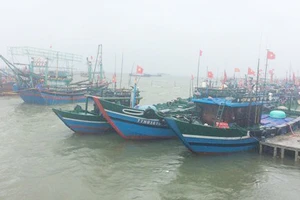 100% tàu thuyền của ngư dân Thừa Thiên – Huế đã vào bờ tránh bão số 4.
