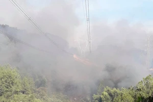Đám cháy rừng tại Thừa Thiên – Huế bao chùm đường dây 500KV đoạn Đà Nẵng – Hà Tĩnh vào chiều 28-6