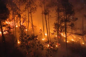 VIDEO: Đánh vật chữa cháy rừng liên tiếp tại Thừa Thiên – Huế