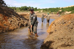 Công nhân đội nắng đào kênh dẫn nước