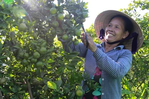 Đồng hành cùng nông dân phát triển chuỗi giá trị các sản phẩm chủ lực của Thừa Thiên – Huế