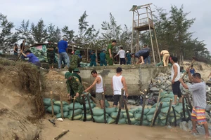 Nỗ lực khắc phục sạt lở do xâm thực gây ra tại khu vực bờ biển xã Phong Hải, huyện Phong Điền, tỉnh Thừa Thiên - Huế 