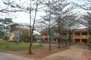 Trường THCS Phong An. ​