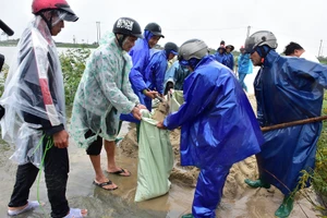 Công an Thừa Thiên - Huế hỗ trợ người dân khắc phục hậu quả lốc xoáy 