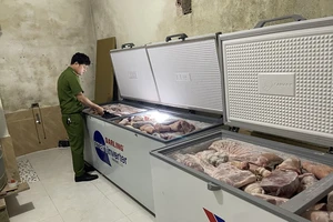 Phát hiện kho hàng thực phẩm đông lạnh không có hoá đơn chứng từ tại Thừa Thiên Huế 