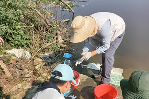 Lấy mẫu nước tại khu vực xảy ra tình trạng cá chết trên sông Ô Giang