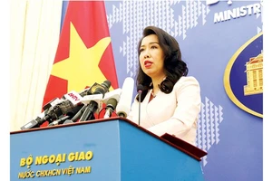 Việt Nam tích cực phối hợp khôi phục hoạt động vận chuyển hàng không quốc tế