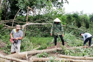 Lốc xoáy kèm mưa lớn ở Bình Phước gây thiệt hại hàng tỷ đồng