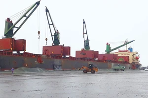 Tàu Hong De mang quốc tịch Panama vào cập cảng để làm hàng tại cảng Vũng Áng đầu năm 2018