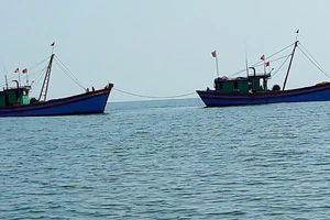 Hai tàu cá giã cào khai thác hải sản "tận diệt" trái phép ven bờ biển bị phát hiện, xử lý vào sáng 20-5