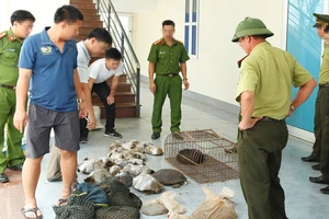 Số động vật hoang dã bị bắt giữ
