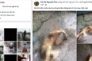 Hình ảnh cá thể động vật hoang dã nghi khỉ bị giết hại đã được đăng tải lên Facebook. Ảnh chụp lại từ màn hình