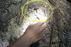 Viên đạn được phát hiện tại hiện trường