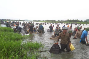 Người dân nô nức tham gia lễ hội đánh cá Đồng Hoa